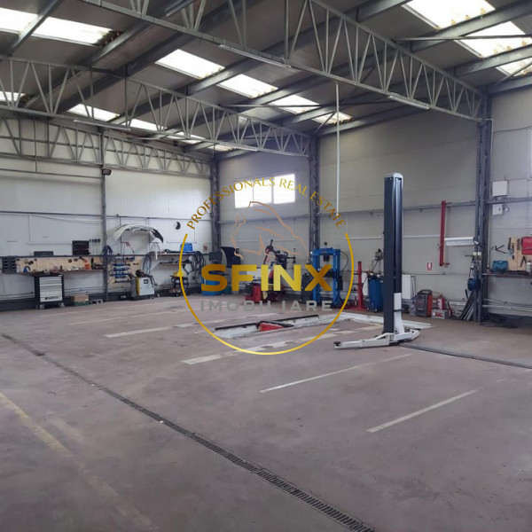 Service Auto de inchiriat Glina