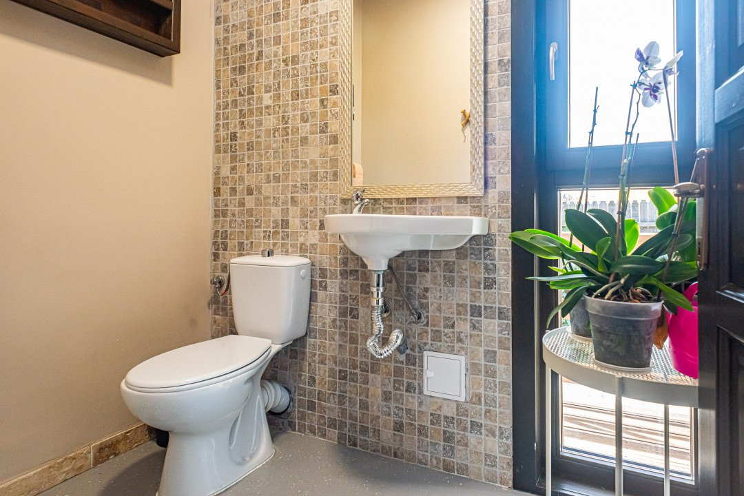 Casa pe malul lacului Scrovistea + piscina