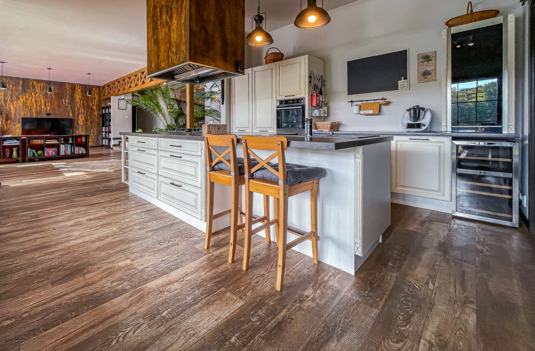 Vila cu piscina pe malul lacului Scrovistea 