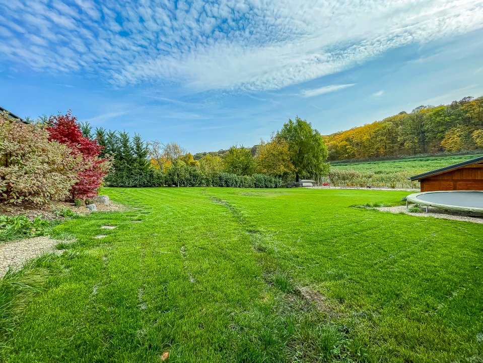 Vila cu piscina pe malul lacului Scrovistea 
