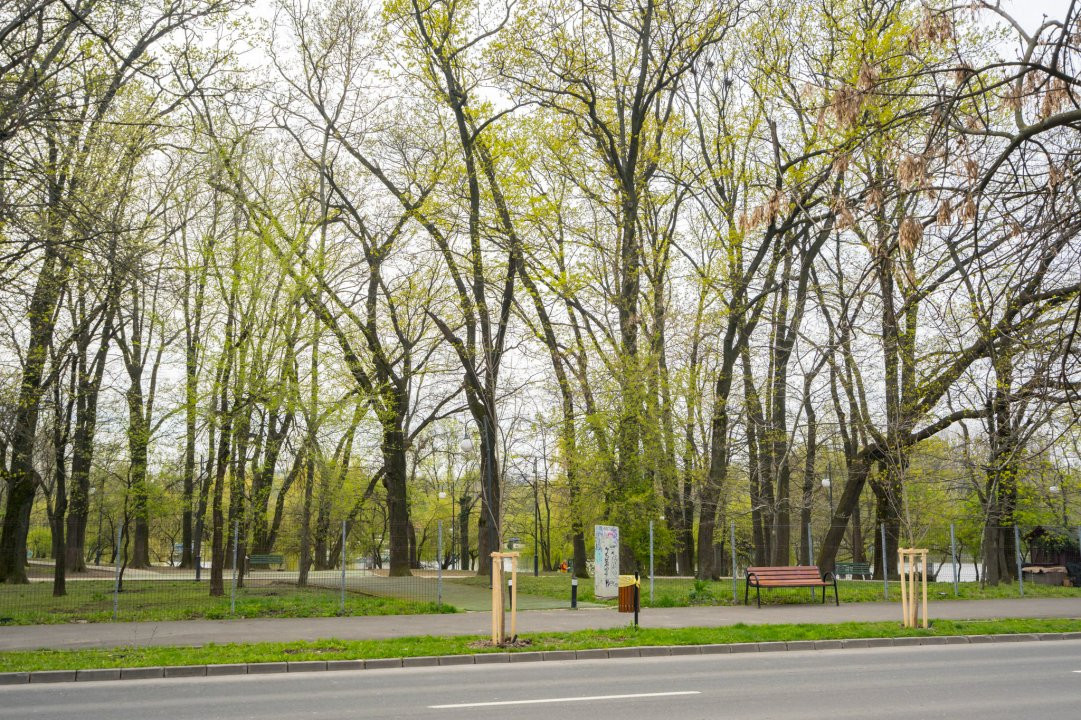 Locatie unica - garsoniera I 39.8mp I Elena vacarescu 21