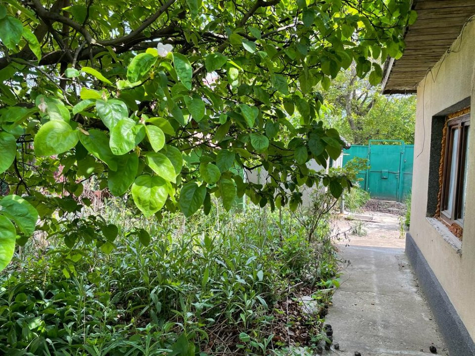 Vanzare Teren 400mp parc Bazilescu