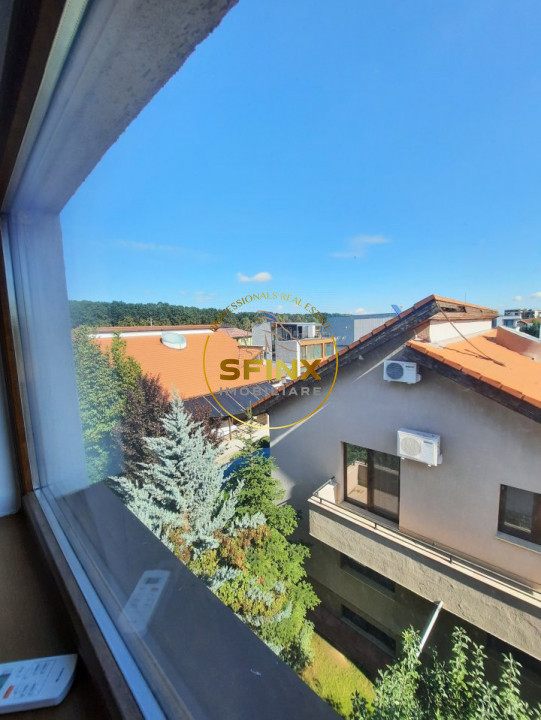 Near the forest, 6-7 bedroom individual, refurbished villa with pool and garage