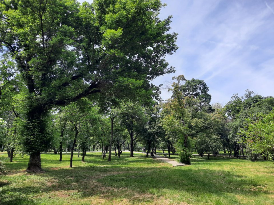 Apartament cu vedere la parc, cu pomi la geamuri, aproape de metrou