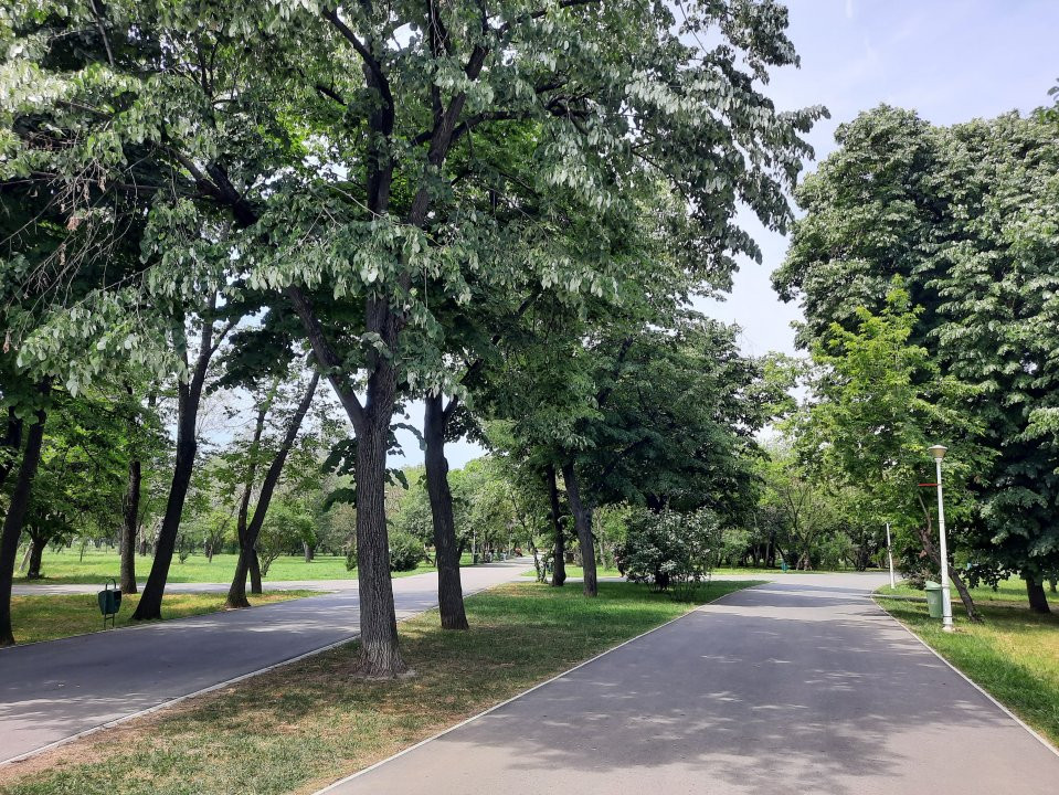 Apartament cu vedere la parc, cu pomi la geamuri, aproape de metrou