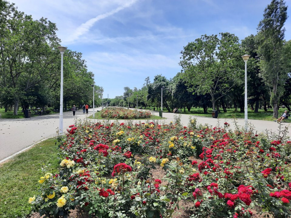 Apartament cu vedere la parc, cu pomi la geamuri, aproape de metrou