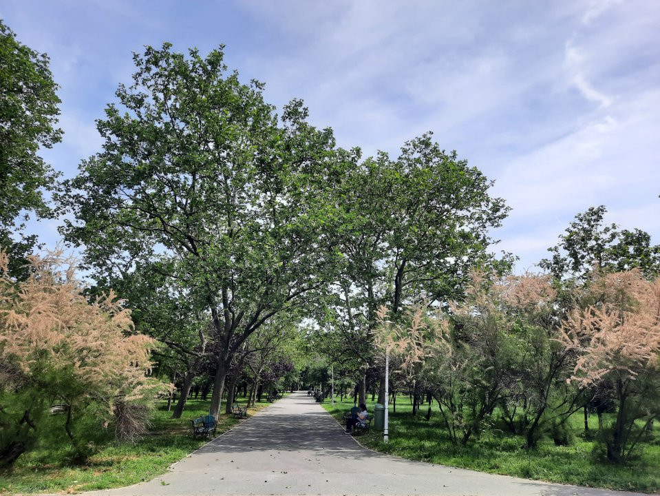 Apartament cu vedere la parc, cu pomi la geamuri, aproape de metrou