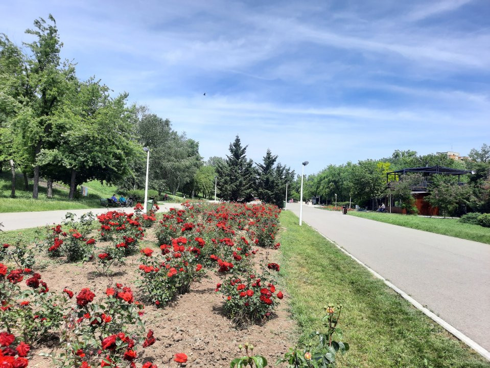 Apartament cu vedere la parc, cu pomi la geamuri, aproape de metrou