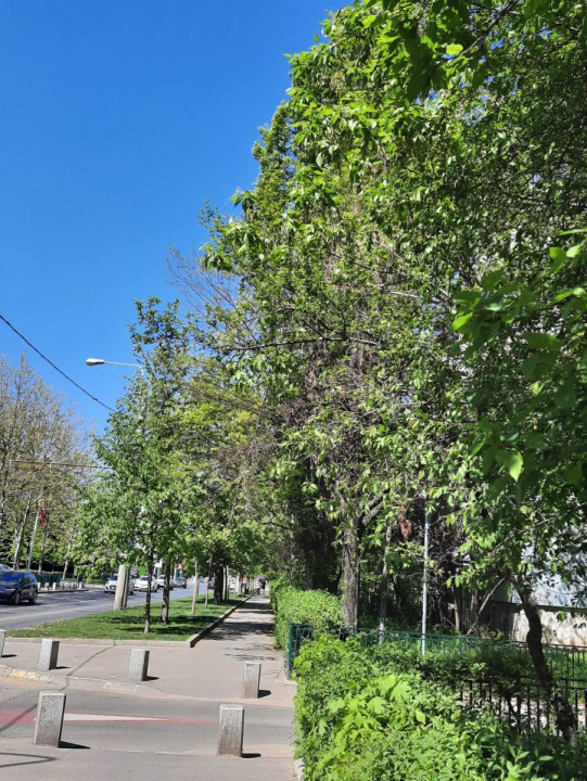 3 camere si boxa bloc de 4 etaje pe Valea Oltului langa metrou