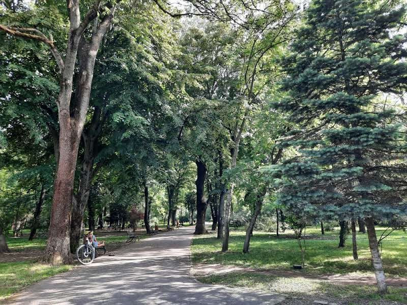 Apartamentul tau cu pomi la geamuri, linistit si luminos, cu loc de parcare.