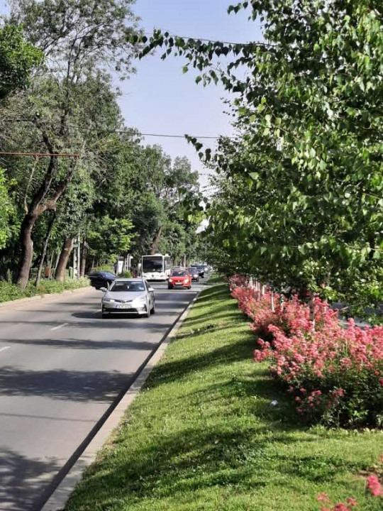 Apartamentul tau cu pomi la geamuri, linistit si luminos, cu loc de parcare.