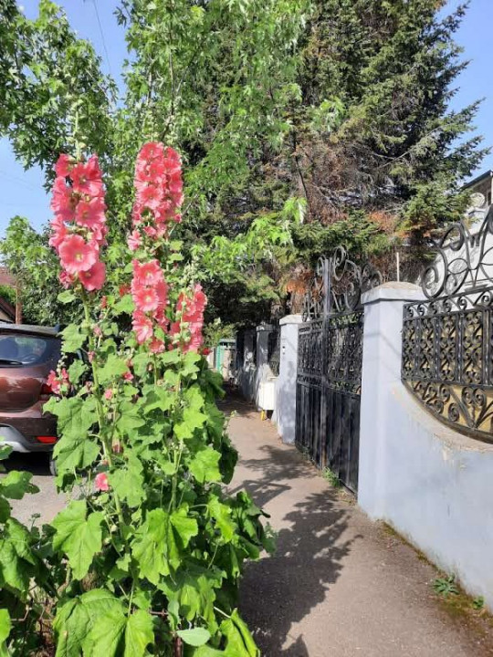 Apartamentul tau cu pomi la geamuri, linistit si luminos, cu loc de parcare.
