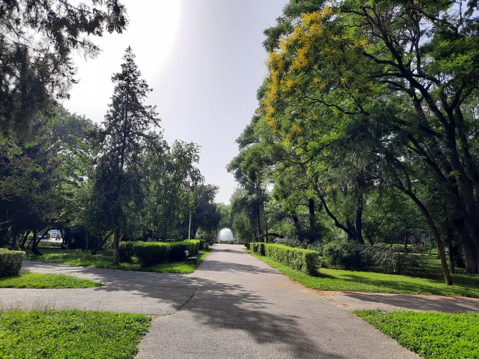 Locuinta ta luminoasa, cu pomi la geamuri, langa Parcul Bazilescu, loc parcare