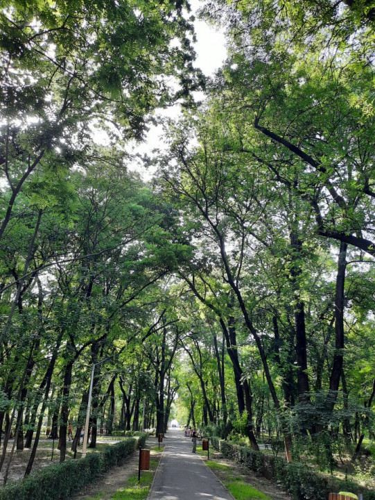 Locuinta ta luminoasa, cu pomi la geamuri, langa Parcul Bazilescu, loc parcare