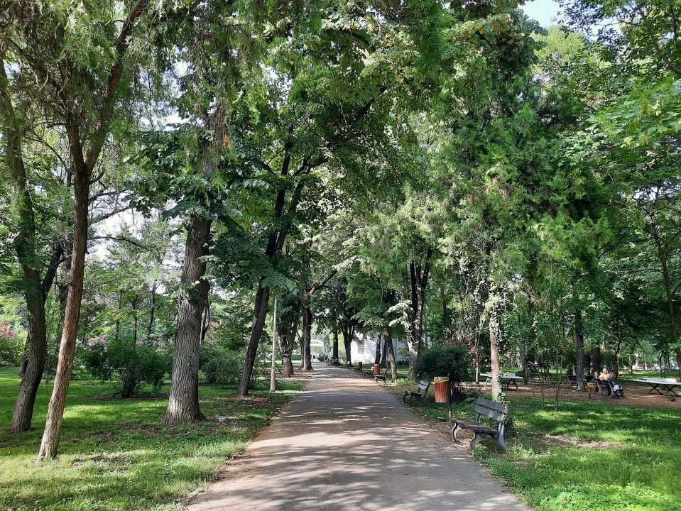 Locuinta ta luminoasa, cu pomi la geamuri, langa Parcul Bazilescu, loc parcare