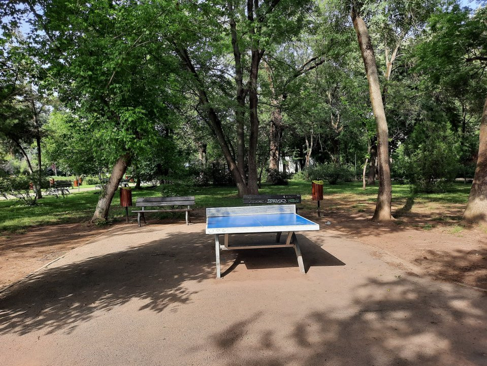 Locuinta ta luminoasa, cu pomi la geamuri, langa Parcul Bazilescu, loc parcare