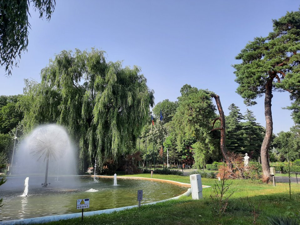 Locuinta ta luminoasa, cu pomi la geamuri, langa Parcul Bazilescu, loc parcare