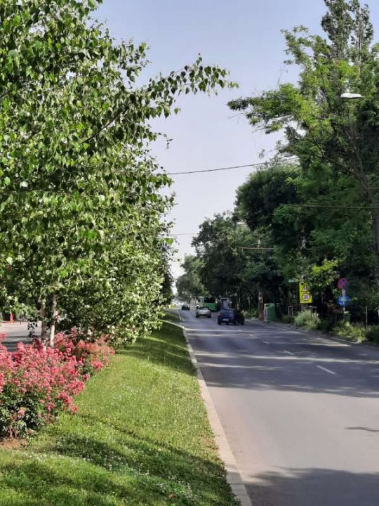 Locuinta ta luminoasa, cu pomi la geamuri, langa Parcul Bazilescu, loc parcare