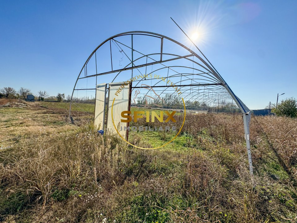 De vanzare ferma in stare de conservare 29000 mp