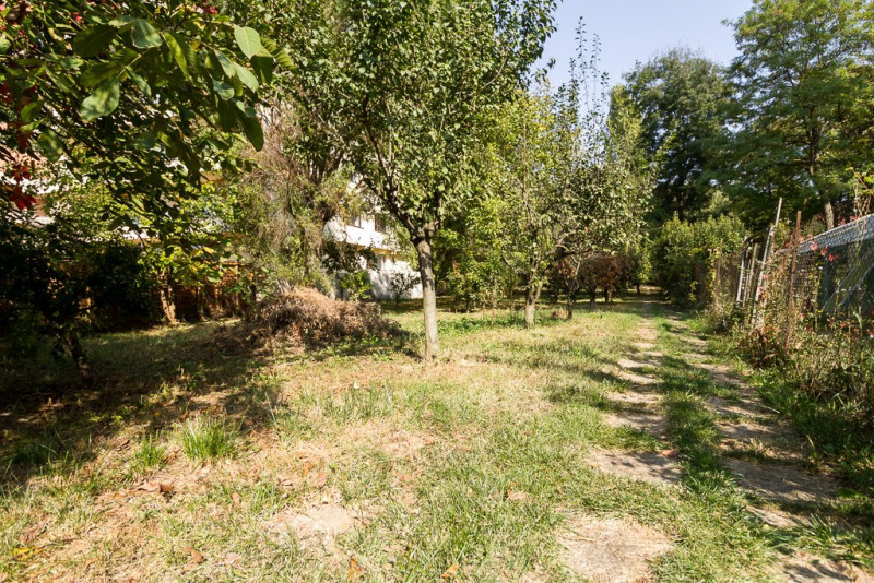Vila de vanzare Snagov Lac , in mijlocul unei oaze de liniste si verdeata
