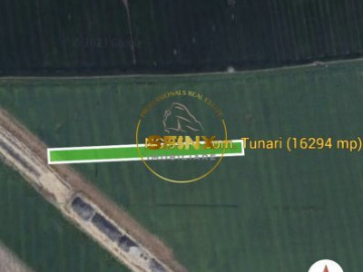 Teren intravilan arabil 16294 mp Tunari A0