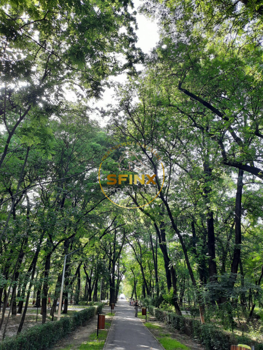Langa Parcul Bazilescu, vila bine construita, curte frumoasa, strada linistita