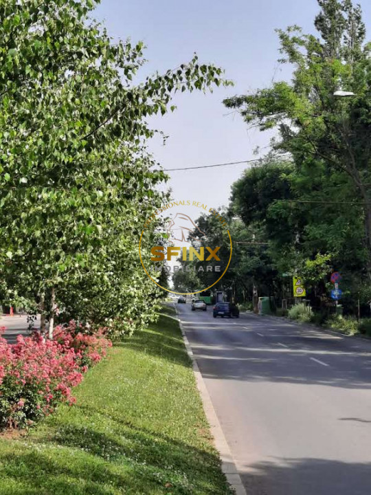 Langa Parcul Bazilescu, vila bine construita, curte frumoasa, strada linistita
