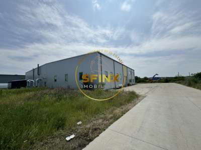 Hala si birouri zona Mogosoaia sos Odai