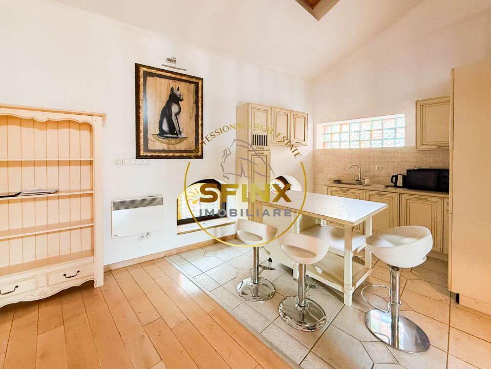 Vanzare zona Armeneasca,Casa eclectica sec XX,curte individuala,3 niveluri 295mp