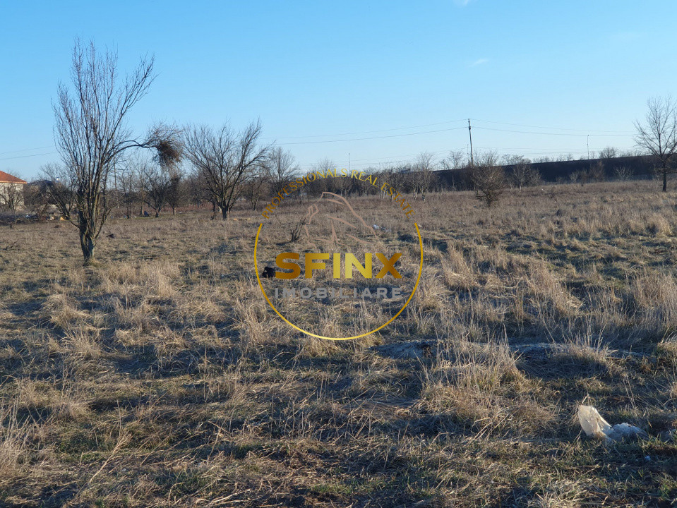 TEREN INTRAVILAN BRAGADIRU 5000mp| SOSEAUA ALEXANDRIEI | DESCHIDERE LA 2 STRAZI 