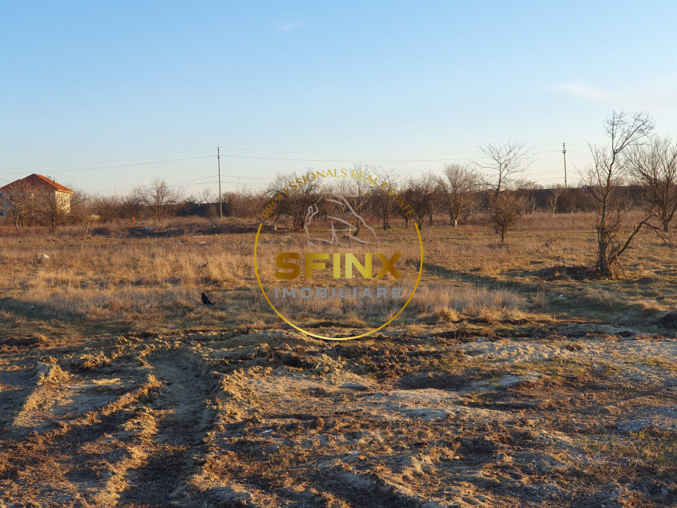 TEREN INTRAVILAN BRAGADIRU 5000mp| SOSEAUA ALEXANDRIEI | DESCHIDERE LA 2 STRAZI 