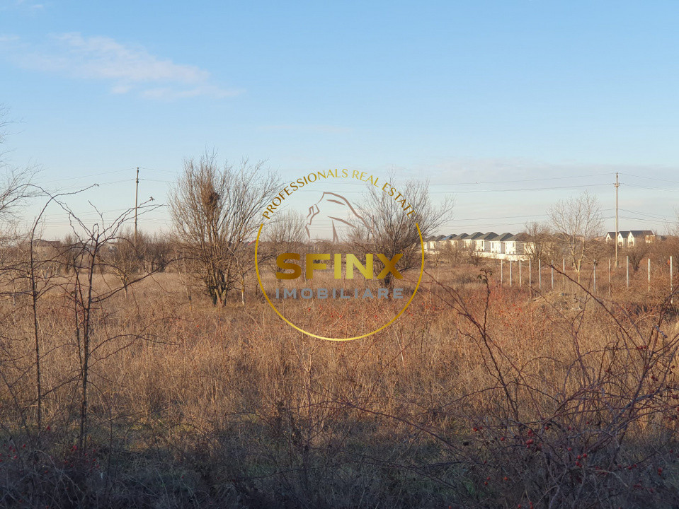 TEREN INTRAVILAN BRAGADIRU 5000mp| SOSEAUA ALEXANDRIEI | DESCHIDERE LA 2 STRAZI 