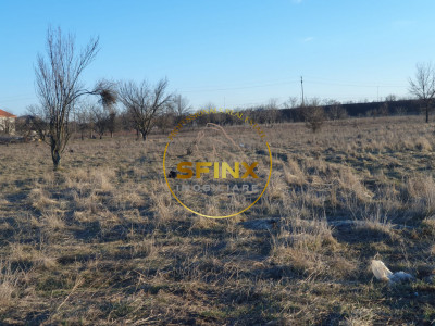 TEREN INTRAVILAN BRAGADIRU 5000mp| SOSEAUA ALEXANDRIEI | DESCHIDERE LA 2 STRAZI 