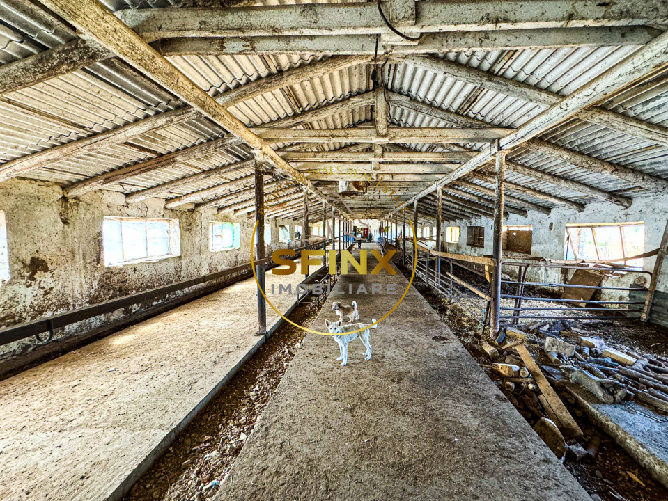 Teren intravilan 62000mp - ferma - logistica - depozitare