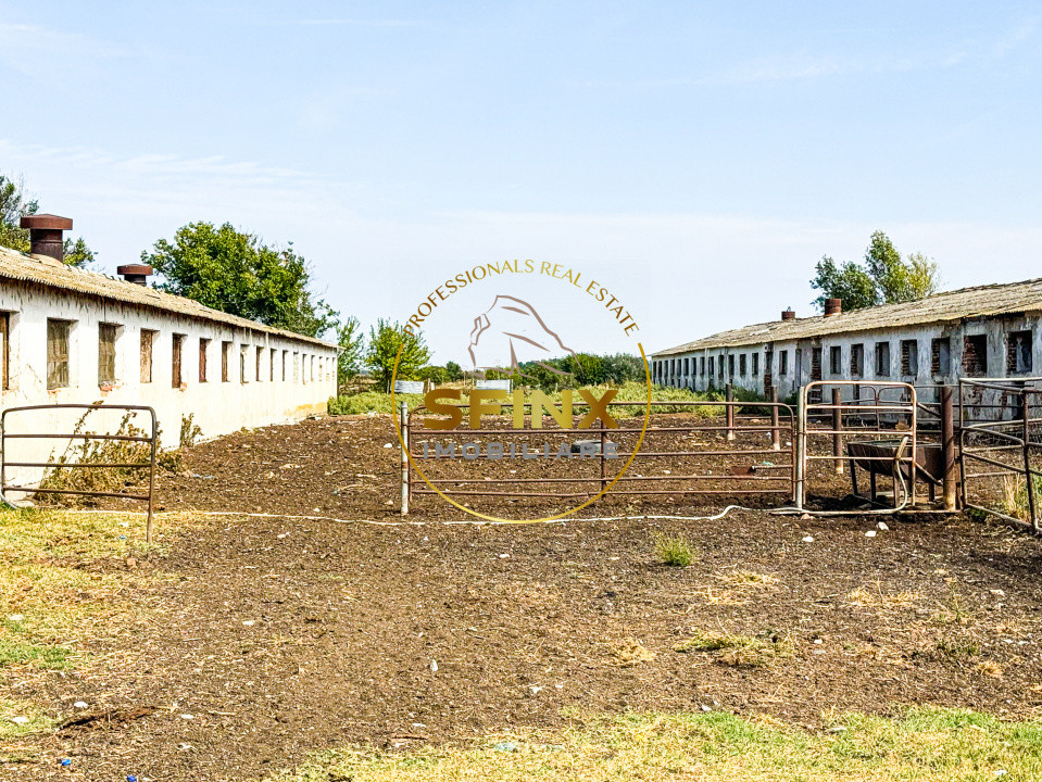 Teren intravilan 62000mp - ferma - logistica - depozitare
