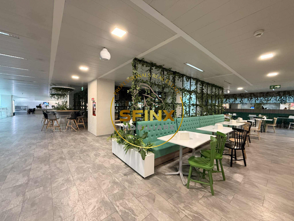 Spatiu birouri, 25 de persoane, terasa, cantina, utilitati incluse in pret