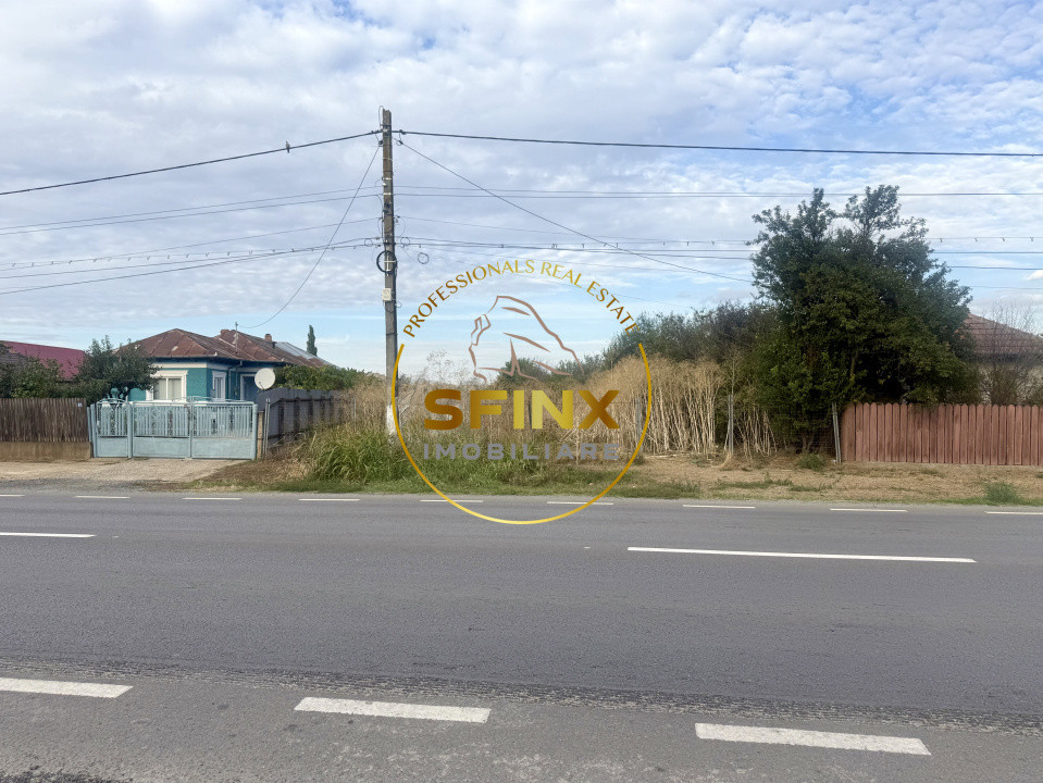 Teren 3905 mp Manasia - poziție la drum judetean