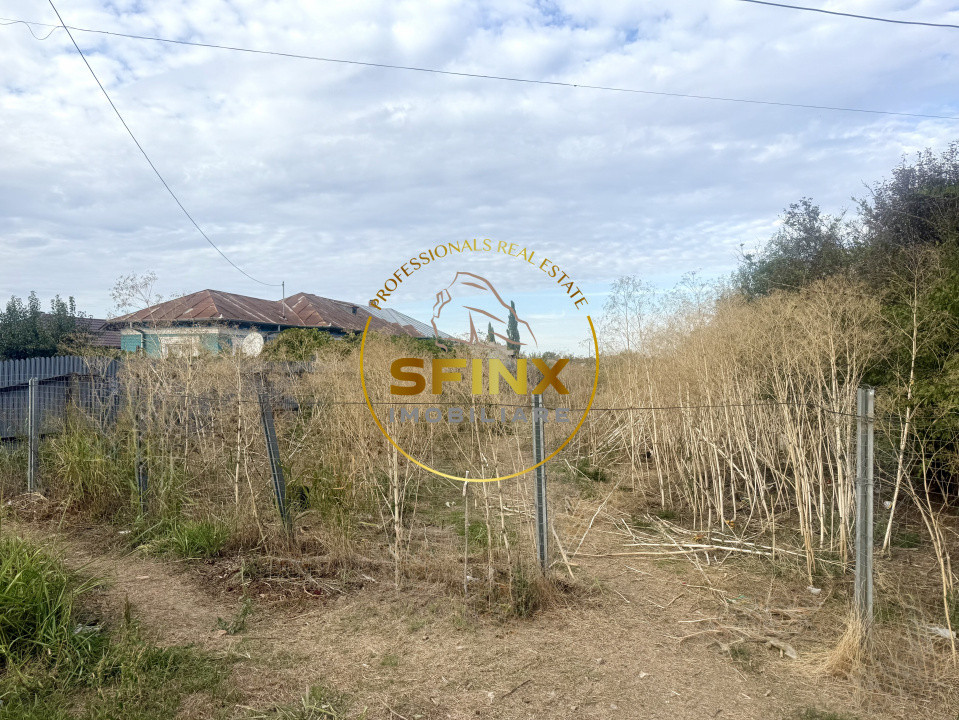 Teren 3905 mp Manasia - poziție la drum judetean