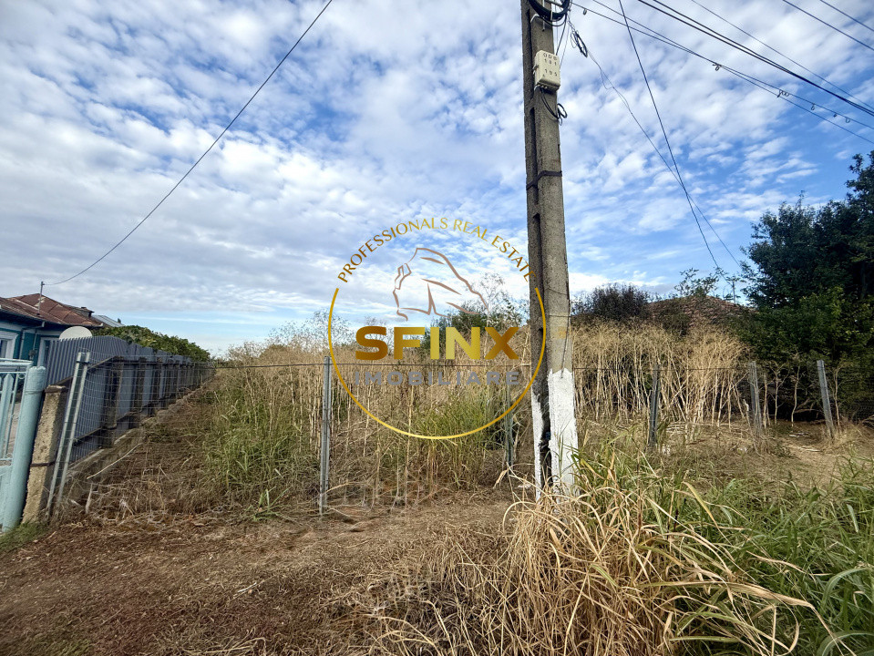 Teren 3905 mp Manasia - poziție la drum judetean