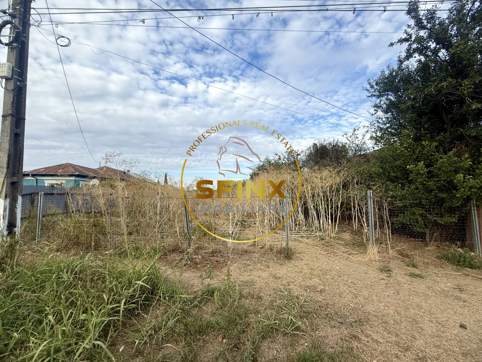 Teren 3905 mp Manasia - poziție la drum judetean