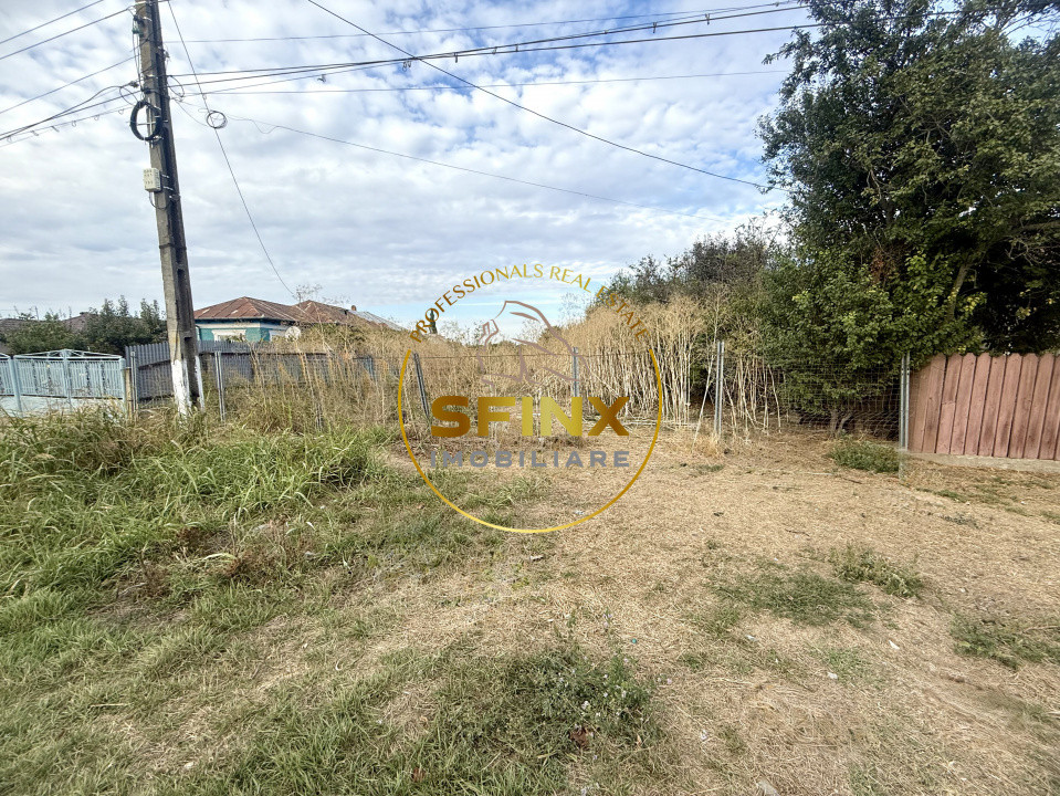 Teren 3905 mp Manasia - poziție la drum judetean