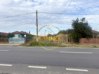 Teren 3905 mp Manasia - poziție la drum judetean 