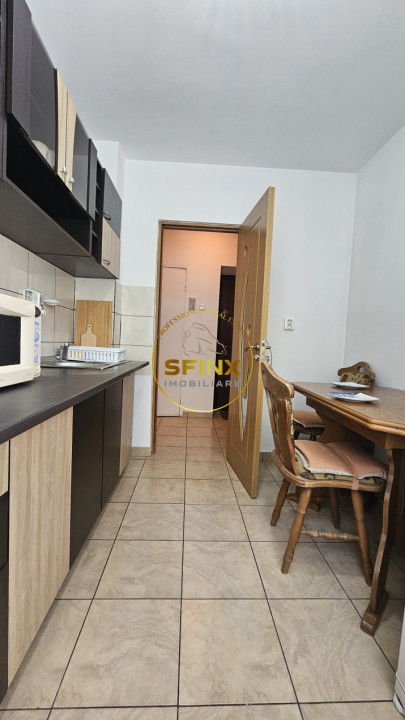 2 camere Titan Minis Costin Georgian metrou parc 