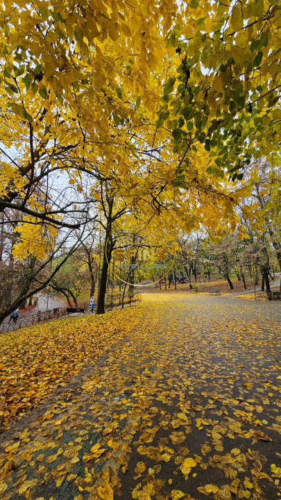 2 camere Titan Minis Costin Georgian metrou parc 