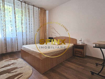 2 camere Titan Minis Costin Georgian metrou parc 