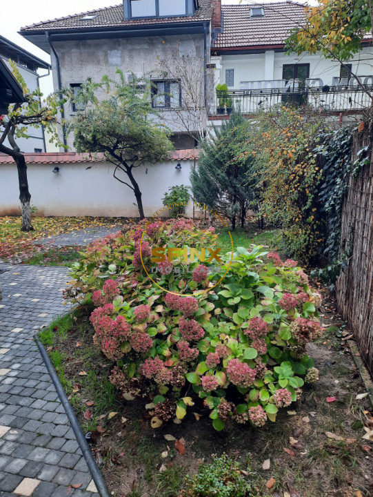 Dorobanti Capitale, vilă interbelică renovata, de inchiriat pentru birouri