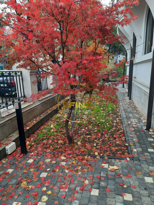 Dorobanti Capitale, vilă interbelică renovata, de inchiriat pentru birouri