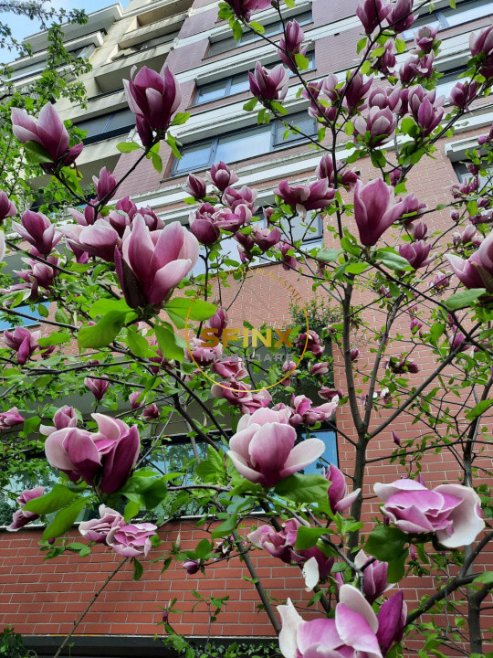 4 camere in Emerald Residence, gradina, loc de joaca, 2 locuri parcare, boxa