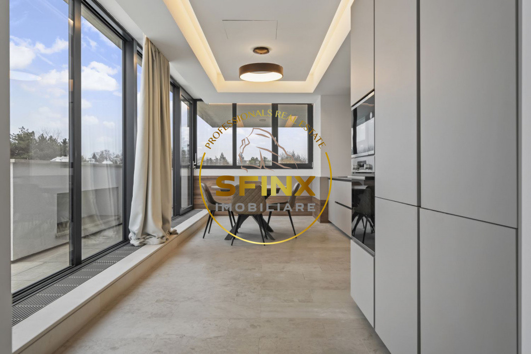 Kiseleff, 4 room penthouse with roof terrace, panoramic view, pet friendly