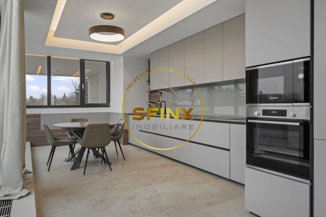 Kiseleff, 4 room penthouse with roof terrace, panoramic view, pet friendly